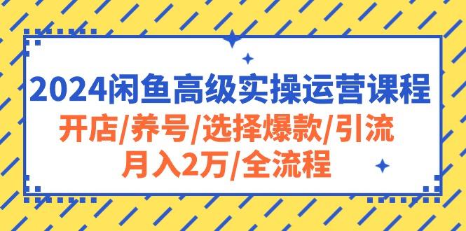 2024闲鱼高级实操运营课程：开店/养号/选择爆款/引流/月入2万/全流程-海旭网创