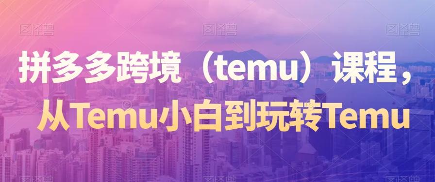 拼多多跨境（temu）课程，从Temu小白到玩转Temu-海旭网创