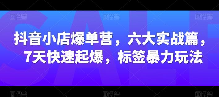 抖音小店爆单营，六大实战篇，7天快速起爆，标签暴力玩法-海旭网创