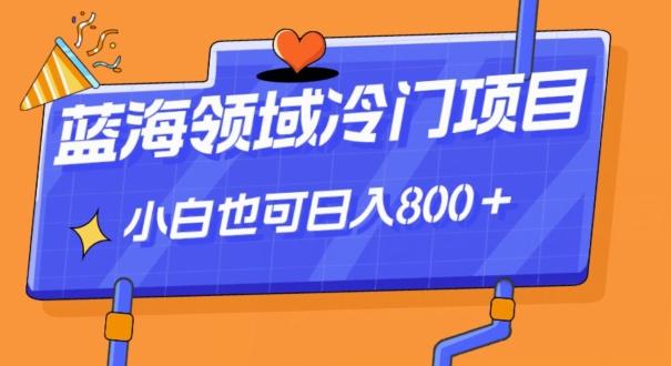 蓝海领域冷门赛道，一单39.9，日入800＋-海旭网创