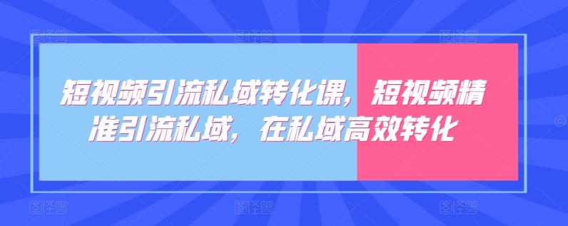 短视频引流私域转化课，短视频精准引流私域，在私域高效转化-海旭网创