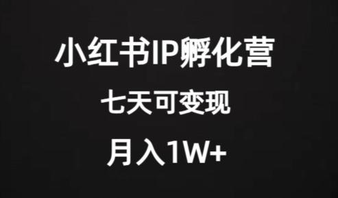 价值2000+的小红书IP孵化营项目，超级大蓝海，七天即可开始变现，稳定月入1W+-海旭网创