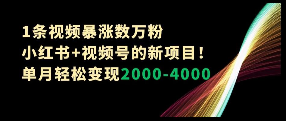 1条视频暴涨数万粉–小红书+视频号的新项目！单月轻松变现2000-4000【揭秘】-海旭网创