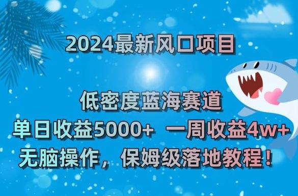 2024最新风口项目，低密度蓝海赛道，单日收益5000+，一周收益4w+！【揭秘】-海旭网创
