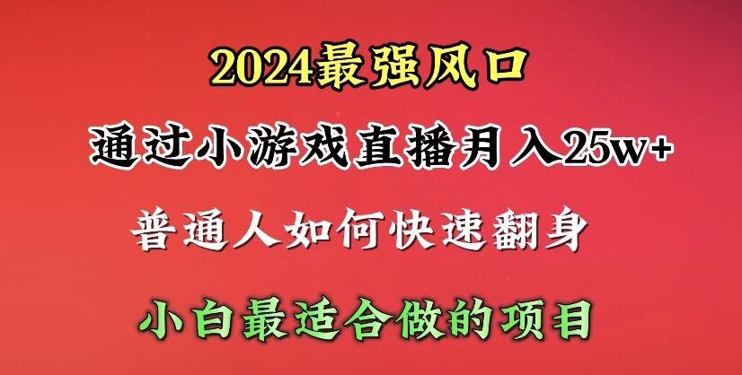 (10020期)2024年最强风口，通过小游戏直播月入25w+单日收益5000+小白最适合做的项目-海旭网创