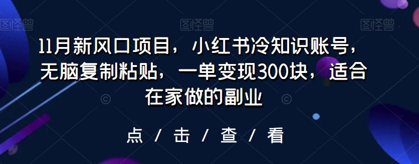 11月新风口项目，小红书冷知识账号，无脑复制粘贴，一单变现300块，适合在家做的副业-海旭网创