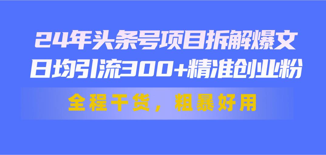 24年头条号项目拆解爆文，日均引流300+精准创业粉，全程干货，粗暴好用-海旭网创