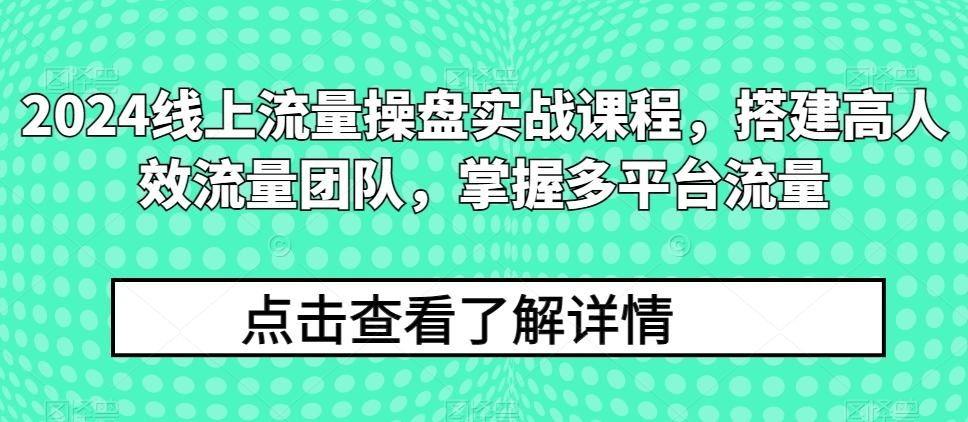 2024线上流量操盘实战课程，搭建高人效流量团队，掌握多平台流量-海旭网创