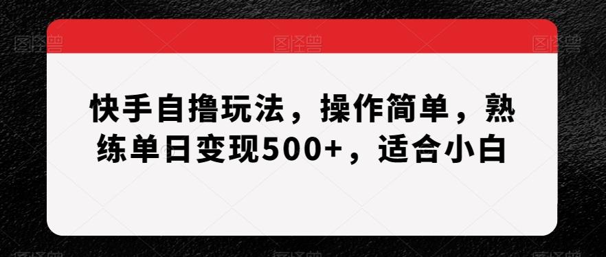 快手自撸玩法，操作简单，熟练单日变现500+，适合小白【揭秘】-海旭网创
