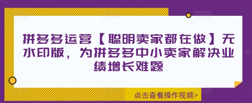 拼多多运营【聪明卖家都在做】无水印版，为拼多多中小卖家解决业绩增长难题-海旭网创