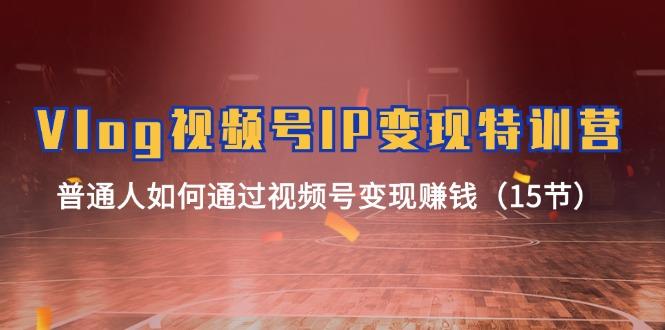 Vlog 视频号IP变现特训营，普通人如何通过视频号变现赚钱(15节-海旭网创