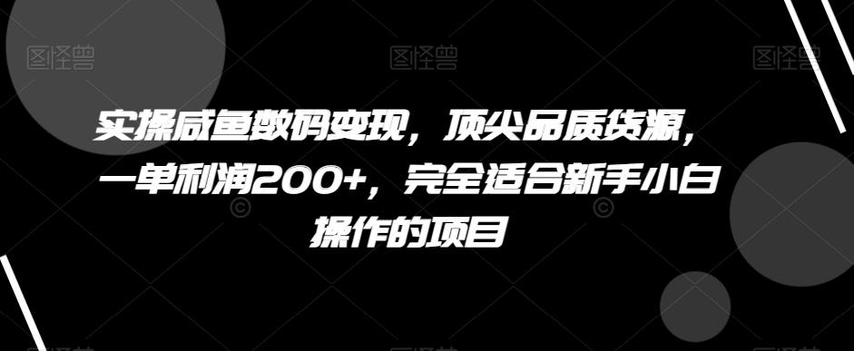 实操咸鱼数码变现，顶尖品质货源，一单利润200+，完全适合新手小白操作的项目【揭秘】-海旭网创