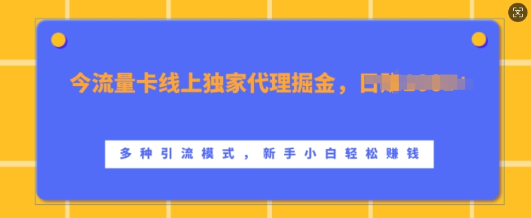 流量卡线上独家代理掘金，日入1k+ ，多种引流模式，新手小白轻松上手【揭秘】-海旭网创