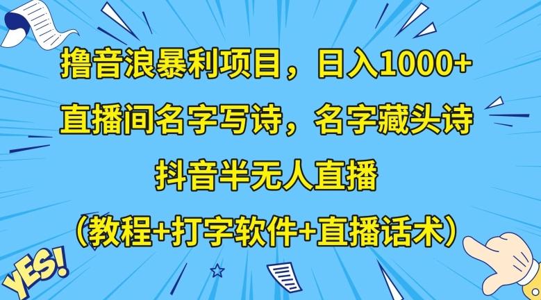 撸音浪暴利项目，日入1000+，直播间名字写诗，名字藏头诗，抖音半无人直播（教程+打字软件+直播话术）【揭秘】-海旭网创