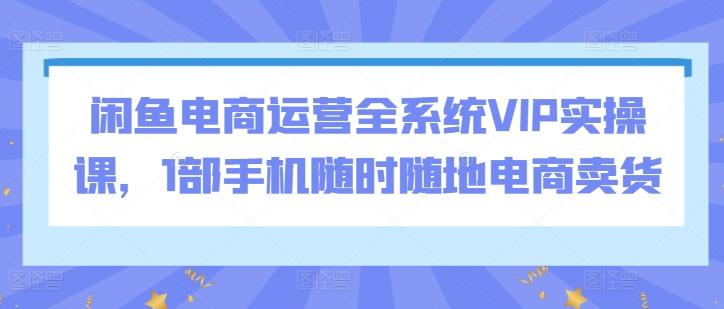 闲鱼电商运营全系统VIP实操课，1部手机随时随地电商卖货-海旭网创