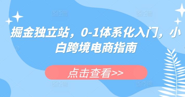 掘金独立站，0-1体系化入门，小白跨境电商指南-海旭网创