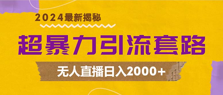 超暴力引流套路，无人直播日入2000+-海旭网创