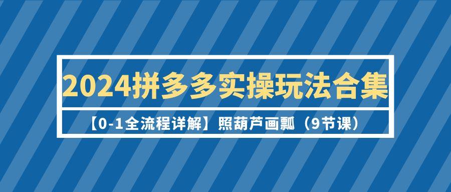(9559期)2024拼多多实操玩法合集【0-1全流程详解】照葫芦画瓢(9节课)-海旭网创