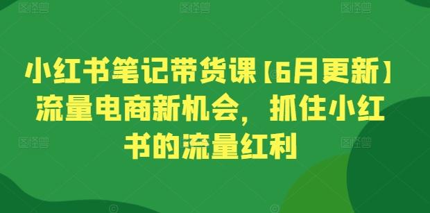 小红书笔记带货课【6月更新】流量电商新机会，抓住小红书的流量红利-海旭网创