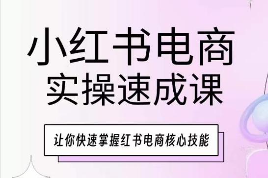 小红书电商实操速成课，让你快速掌握红书电商核心技能-海旭网创