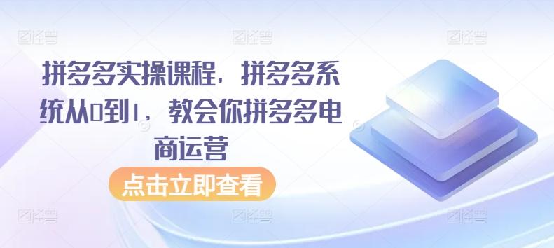 拼多多实操课程，拼多多系统从0到1，教会你拼多多电商运营-海旭网创
