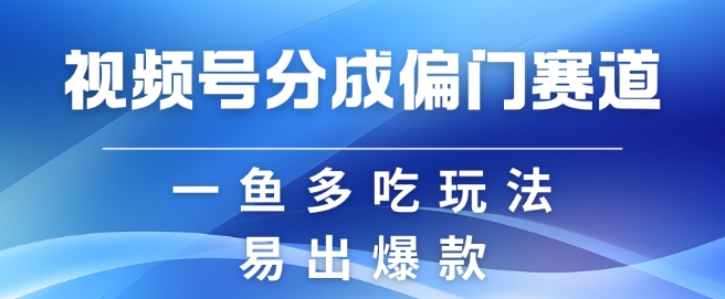 视频号创作者分成计划偏门类目，容易爆流，实拍内容简单易做【揭秘】-海旭网创