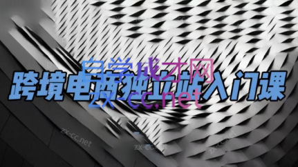 团长·跨境电商独立站入门课(2小时精华)-海旭网创