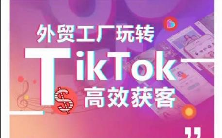 外贸工厂玩转TikTok高效获客，多种引流方式与账号定位技巧，拆解爆款短视频打造成功案例-海旭网创