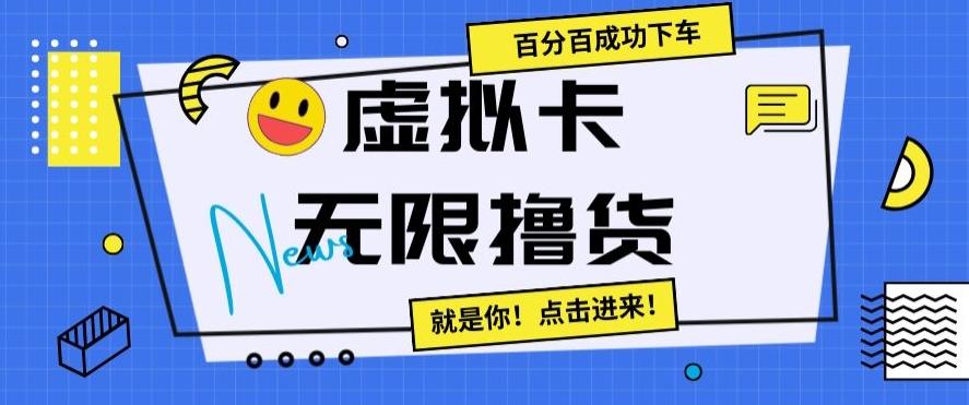 虚拟卡无限撸货，百分百成功下车【仅揭秘】-海旭网创