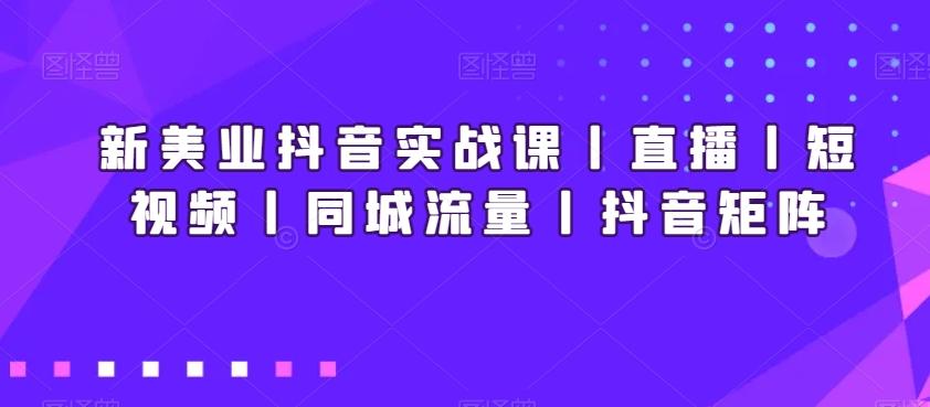 新美业抖音实战课丨直播丨短视频丨同城流量丨抖音矩阵-海旭网创