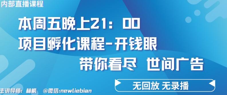 4.26日内部回放课程《项目孵化-开钱眼》赚钱的底层逻辑【揭秘】-海旭网创