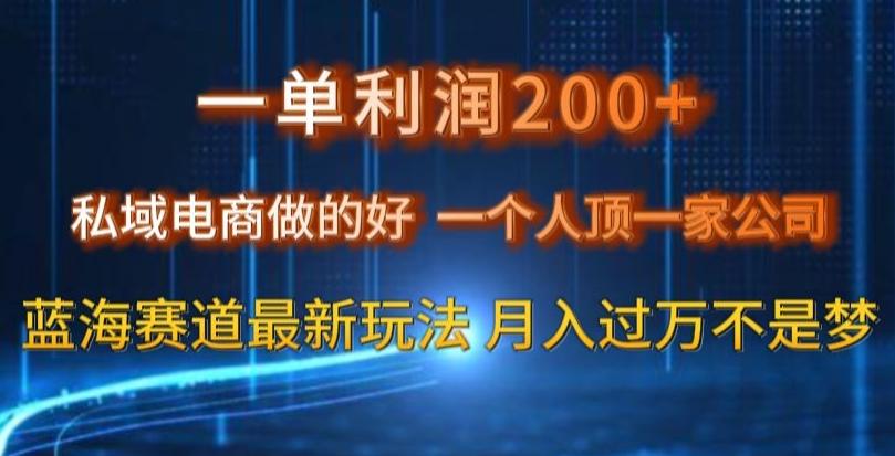 一单利润200私域电商做的好，一个人顶一家公司蓝海赛道最新玩法【揭秘】-海旭网创