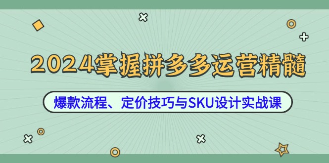 2024掌握拼多多运营精髓：爆款流程、定价技巧与SKU设计实战课-海旭网创