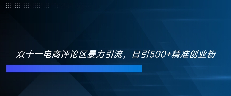 双十一电商评论区暴力引流，日引500+精准创业粉【揭秘】-海旭网创
