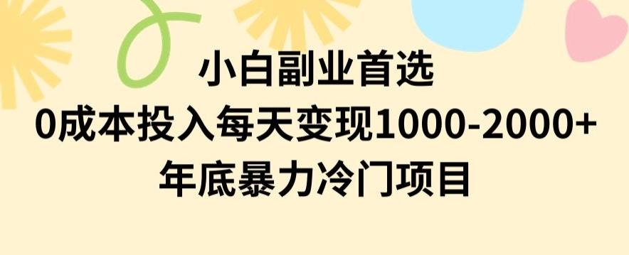 小白副业首选，0成本投入，每天变现1000-2000年底暴力冷门项目【揭秘】-海旭网创