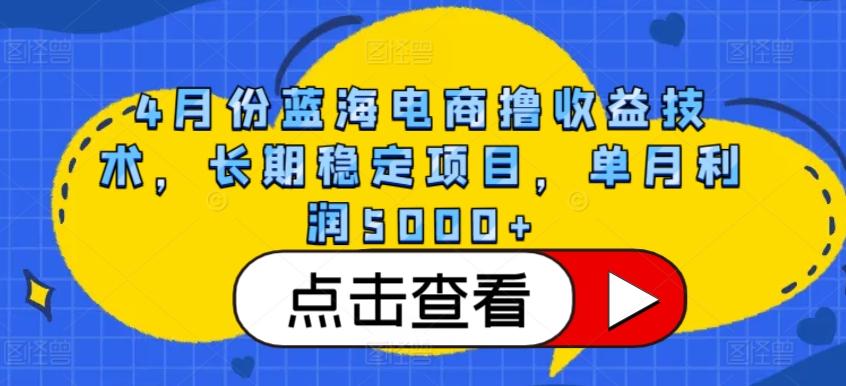 4月份蓝海电商撸收益技术，长期稳定项目，单月利润5000+【揭秘】-海旭网创