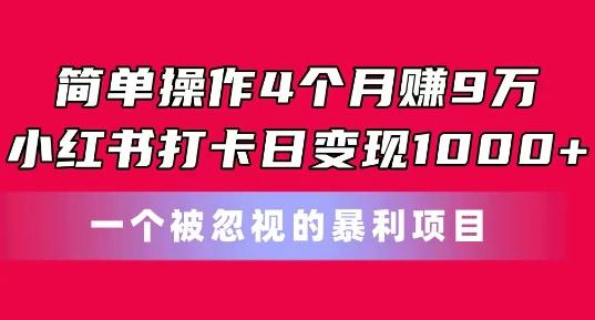 简单操作4个月赚9w，小红书打卡日变现1k，一个被忽视的暴力项目【揭秘】-海旭网创