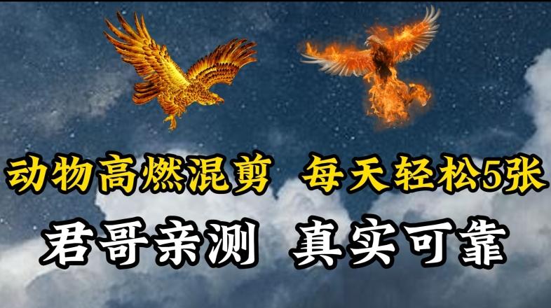 动物超燃混剪，每天轻松5张，剪辑简单大家爱看【揭秘】-海旭网创