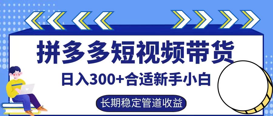 拼多多短视频带货日入300+，实操账户展示看就能学会-海旭网创