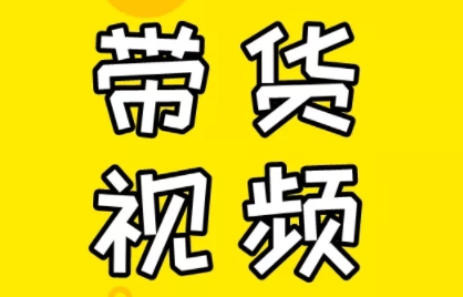 芒果老师·教你做抖音短视频和直播带货-海旭网创