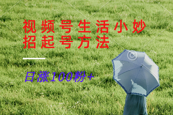 视频号生活小妙招分享赛道， 起号涨粉新方法，日涨100粉-海旭网创