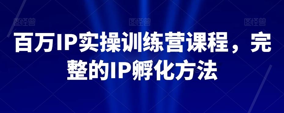 百万IP实操训练营课程，完整的IP孵化方法-海旭网创