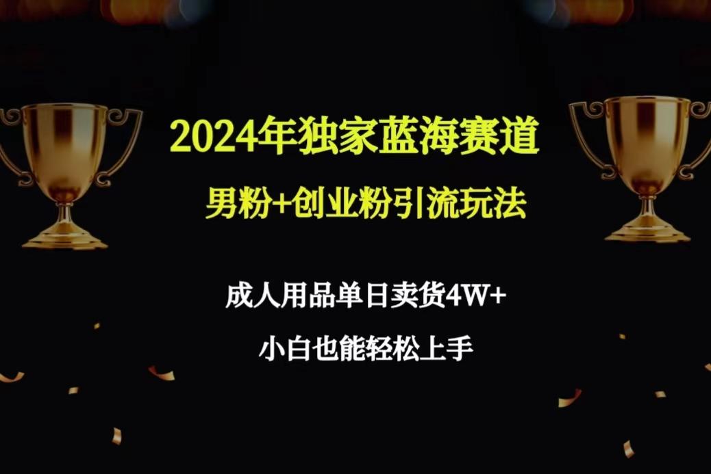 2024年独家蓝海赛道男粉+创业粉引流玩法，成人用品单日卖货4W+保姆教程-海旭网创