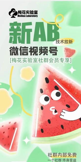 梅花实验室2024年AB技术视频号AB合成破解版-海旭网创