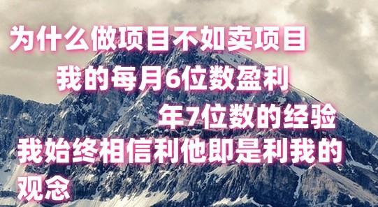 做项目不如卖项目，每月6位数盈利，年7位数经验-海旭网创