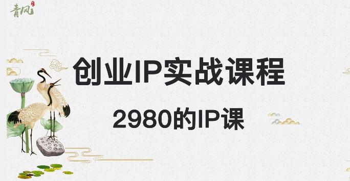 外边卖2980的创业IP课程，做私域月入5w+-海旭网创