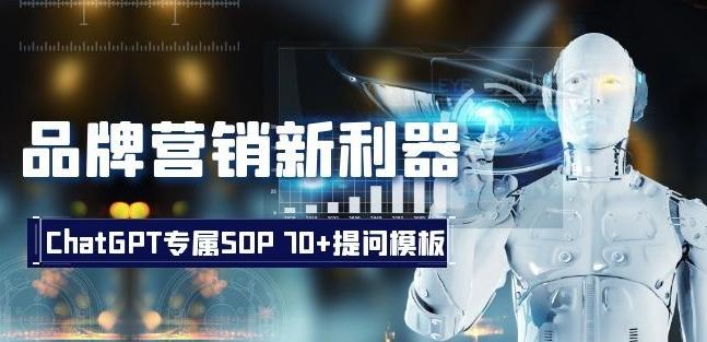 品牌营销新利器：ChatGPT专属SOP，70+提问模板【文档】-海旭网创