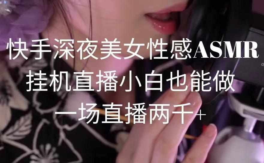 快手深夜美女性感ASMR挂机直播，小白也能做，一场直播两千+-海旭网创