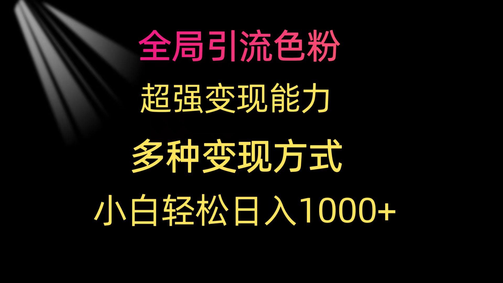 (9680期)全局引流色粉 超强变现能力 多种变现方式 小白轻松日入1000+-海旭网创