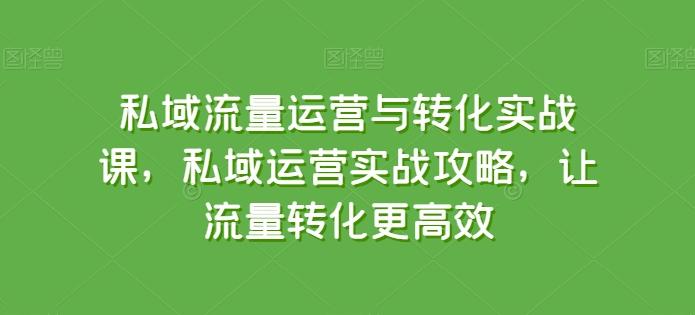 私域流量运营与转化实战课，私域运营实战攻略，让流量转化更高效-海旭网创